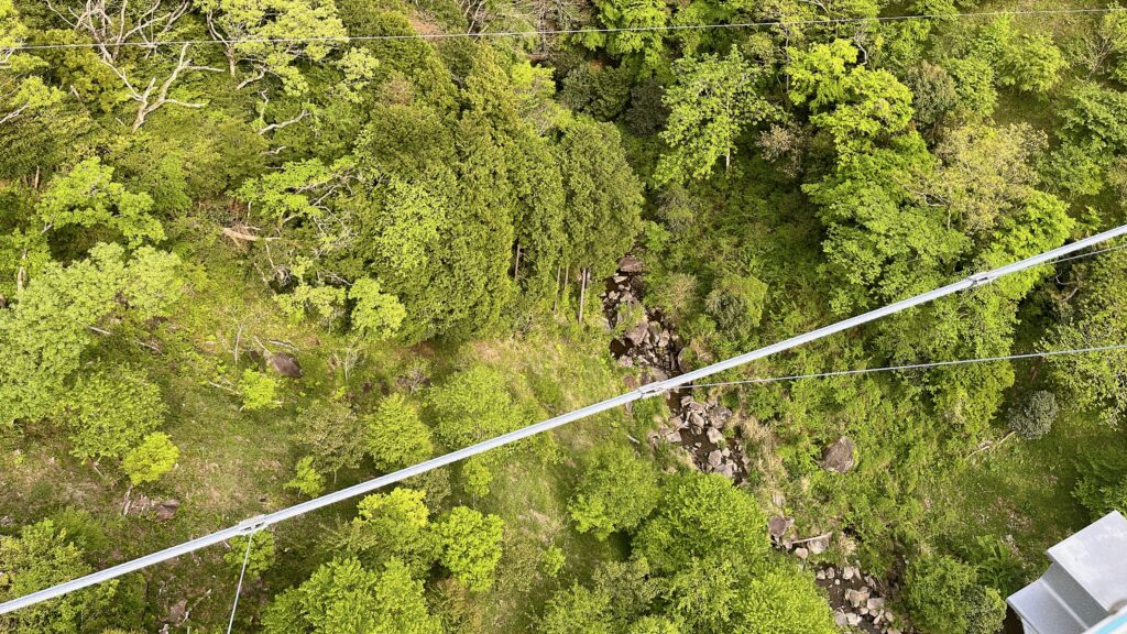 ジップラインで上空から見た様子