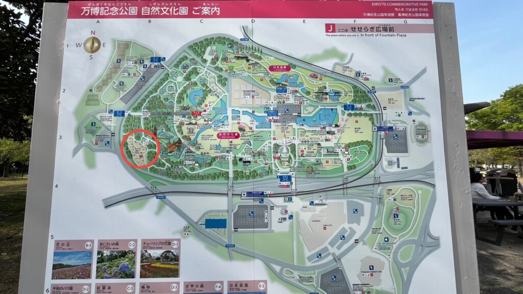 万博記念公園内の「花の丘」の場所を示す地図です。