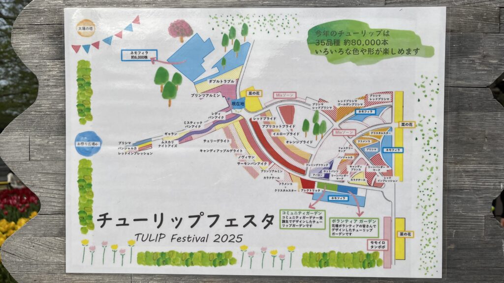 2025年チューリップフェスタの植栽図です。