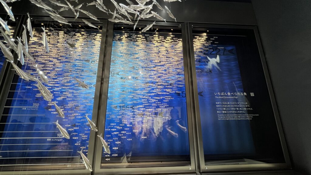 地球で最も食べられている魚である鰯の展示です。
