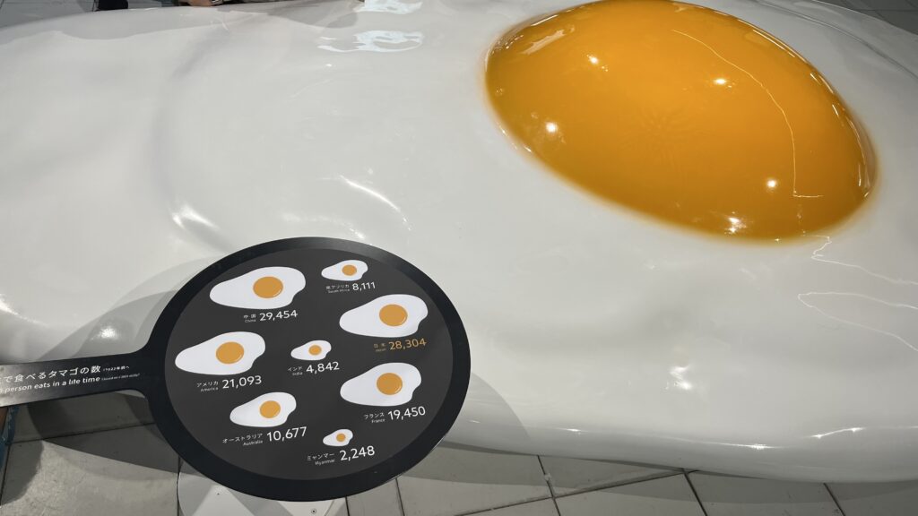 日本人1人が一生に食べる卵を使って目玉焼きを作ったときの大きさを展示しています。