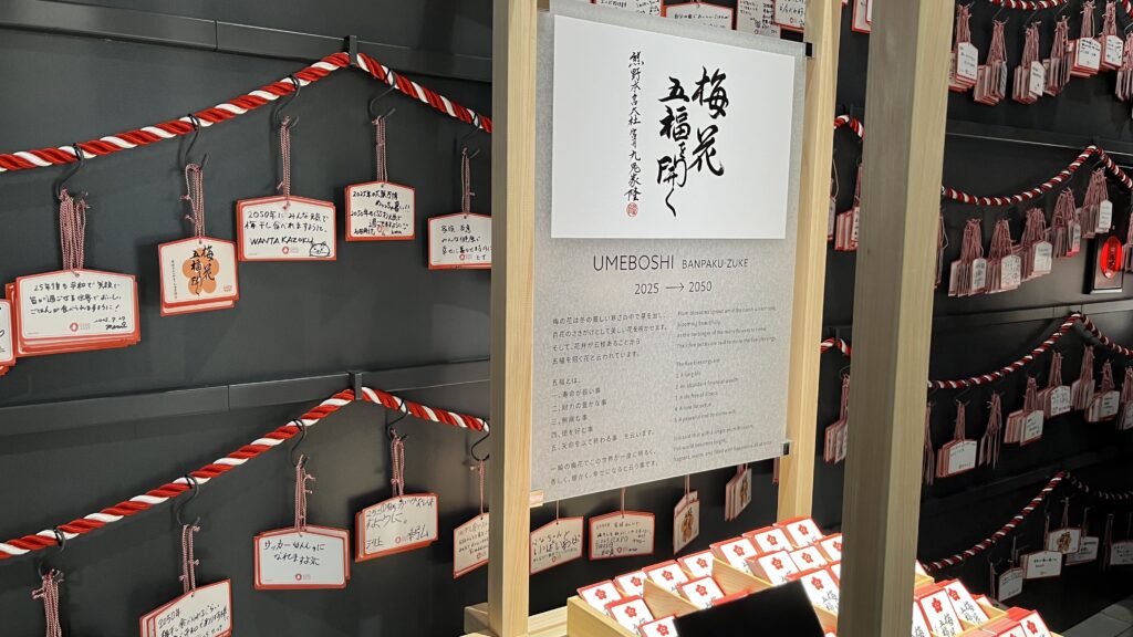 梅の花の五福にちなんで願い事を記入しました。